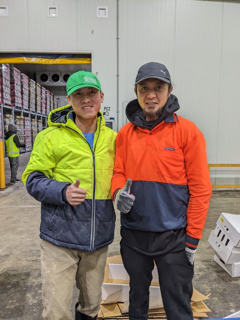 Tôi đi làm công việc đóng gói nho tại kho xưởng của công ty Fruitico