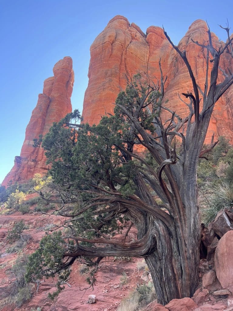 Chuyến đi tuyệt vời đến Sedona!